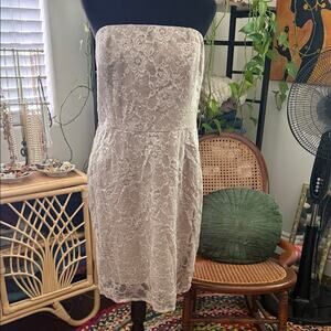 NWT Banana Republic Taupe Lace Strapless Mini Dress